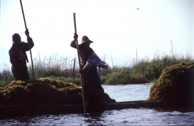 ミャンマーの１０日間(１）～インレー湖～