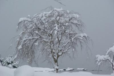 洞爺湖・雪の北海道はなんといっても魅力的！