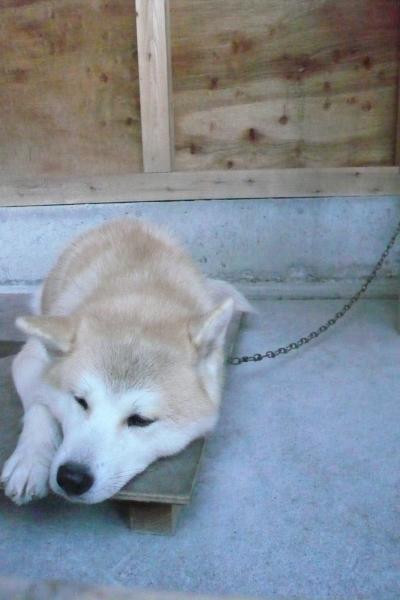 もう一回東北！