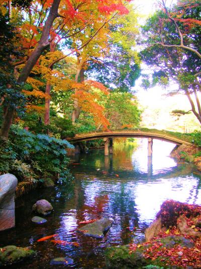 東京散歩（７）六義園