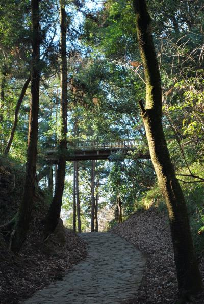 【近郊11】滝山城址のウォーキング