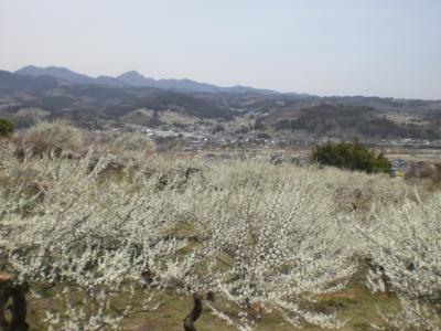 ぶらりドライブ~群馬