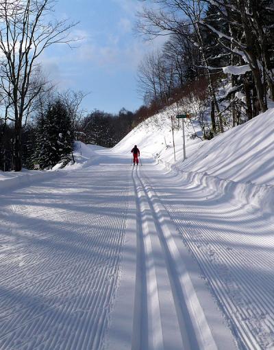 歩くスキーで北海道♪-2009-／国営滝野すずらん丘陵公園 10Kmキタキツネコース