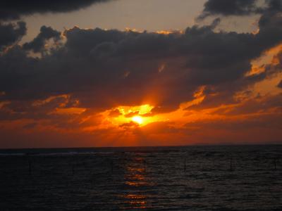 又兵衛＆ぶよぞう沖縄へ行く２００９～第4章～