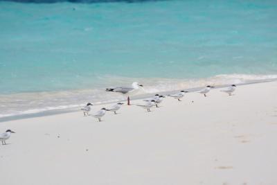 【　イルデパン・極上ビーチ編　】☆天国に1番近い島♪真っ白な極上ビーチに出会う旅