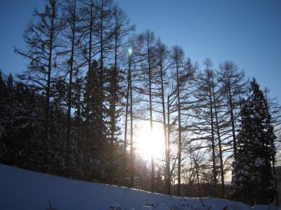 2009初滑り~北志賀竜王へ