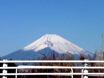 2008年冬　熱海～箱根☆旅行　[後編]