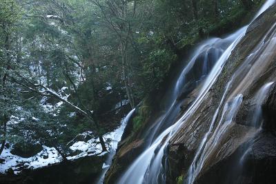 『日本の滝百選』　雪残る金引の滝