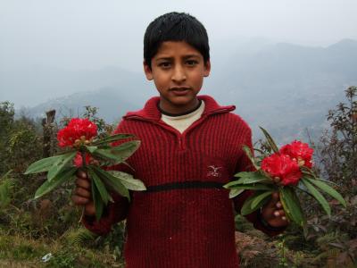 ネパール～一人旅～