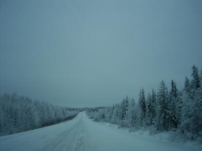冬の北欧旅行記9 ロヴァニエミ1