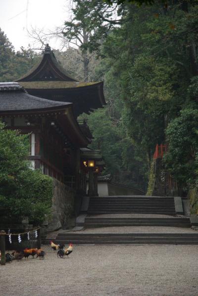 奈良　日本最古の神社・石上神宮～