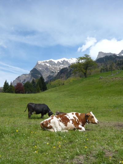 欧州10ヶ国一人旅(11)~スイス(チューリッヒ/マイエンフェルト)~