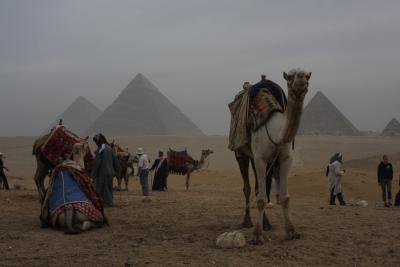 エジプト旅行（５）ギザ＆近郊の街編