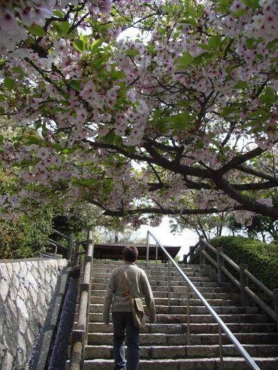 2008年4月12日 しまなみ海道・呉・広島への春旅