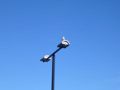 HELSINKI トラベルノート　?スオメンリンナ島　その２