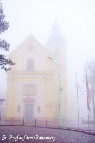 ウィーンのお散歩４　霧のカーレンベルク - コベンツル - グリンツィング+a