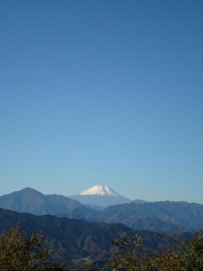 紅葉のハイキング高尾山～相模湖（日帰り遠足）