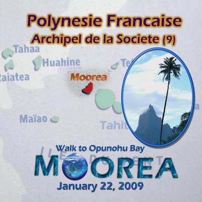 フランス領　ポリネシア　旅行６日目　オプノフ湾への道