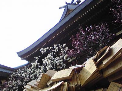 「春のお散歩」湯島～御茶ノ水～神田