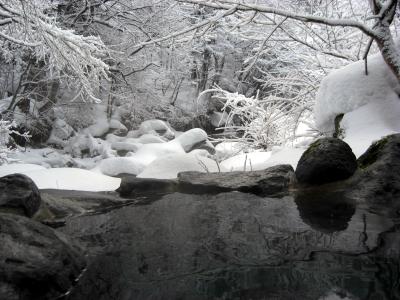 秘湯訪問シリーズ開始。大丸あすなろ荘で露天風呂!