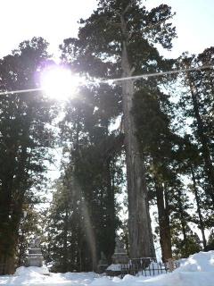 冬の戸隠スピリチュアルツアー