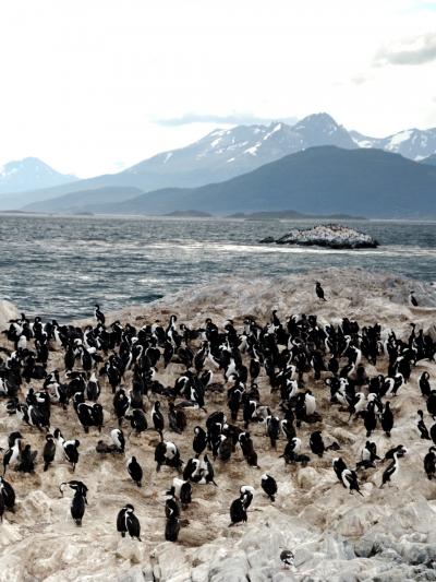 マルティアル氷河とビーグル水道　Ushuaia(１日目)−パタゴニア紀行（４） -