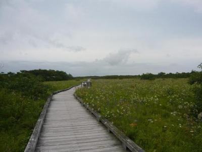 北海道ドライブ☆釧路湿原と道東の湖をめぐる旅?