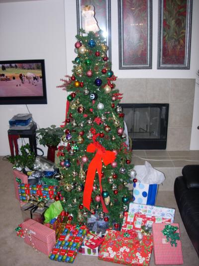 りす家in San Bernardino・クリスマスパーティDec25