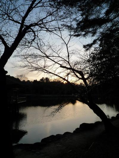 ゆっくりと日が暮れていく～夕日に染まった奈良公園～