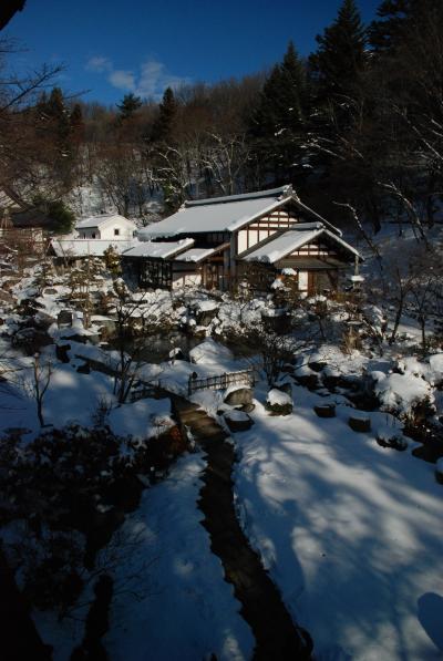 吹雪の猿ヶ京?