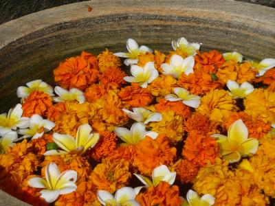 ２月のＢＡＬＩ