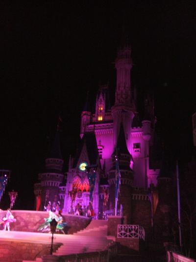 ディズニーアンバサダーホテル宿泊とディズニーランド