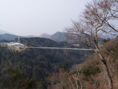 ２００９滝はじめは熊本・大分⑦　滝メグラーが行く１１　九重‘夢’大吊橋と日本の滝百選・震動の滝　大分県玖珠郡九重町