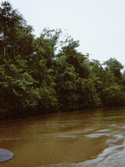 マラジョー島　アマゾンでファームステイ