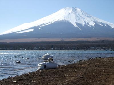 富士山=MTBで山中湖一周=