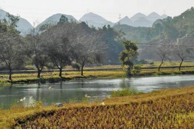 雲南省南部一人旅(2008年3回目) その4 里達鎮訪問後八宝鎮へ