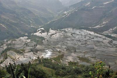 雲南省南部一人旅(2008年3回目) その10 老猛から元陽へ