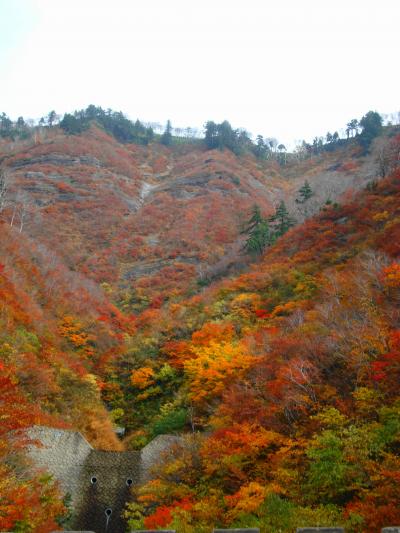 魚！　(3)そろそろ終了？（白山スーパー林道・石川県側）