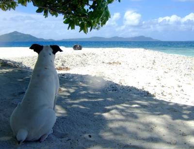 第7旅行目：チューク旅行　③ジープ島上陸