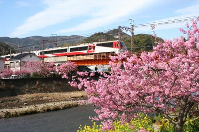 【小さな旅】2009・2月　熱海梅園と河津桜