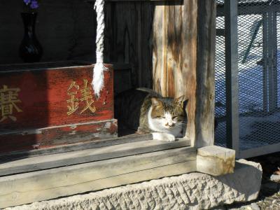 猿ヶ京温泉