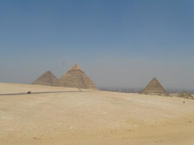 エジプト＆トルコ?