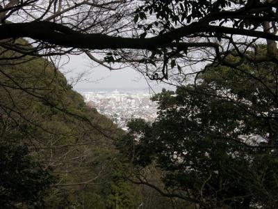 早春の大磯・湘南平を歩く・・・?浅間山・高麗山・高来神社を経て平塚駅へ