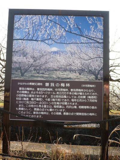 ツールド神社仏閣　小田原　曽我中河原