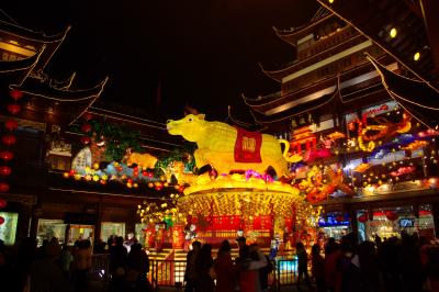 上海豫園の万灯篭祭り・中国旧正月の夜景風景