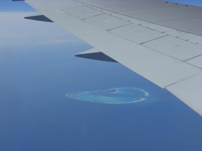 ☆ウミガメ☆と一緒に泳いだハワイの旅