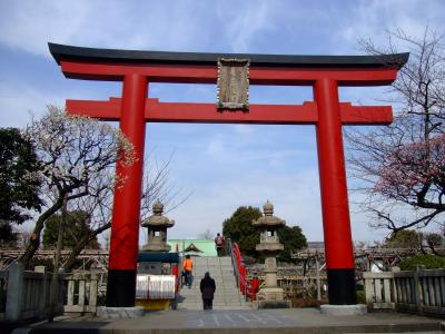 亀戸天神☆梅祭り☆