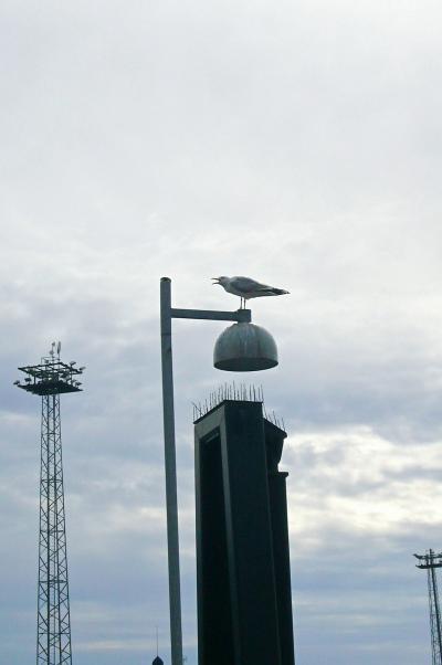 私のマトカ～フィンランド・アウランコへの旅～４日目