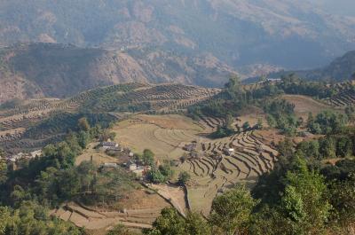 Nepal【2】 mini Trecking編