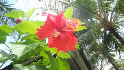 ★ ENJOY BALI 最終日 母・娘★ 5日目